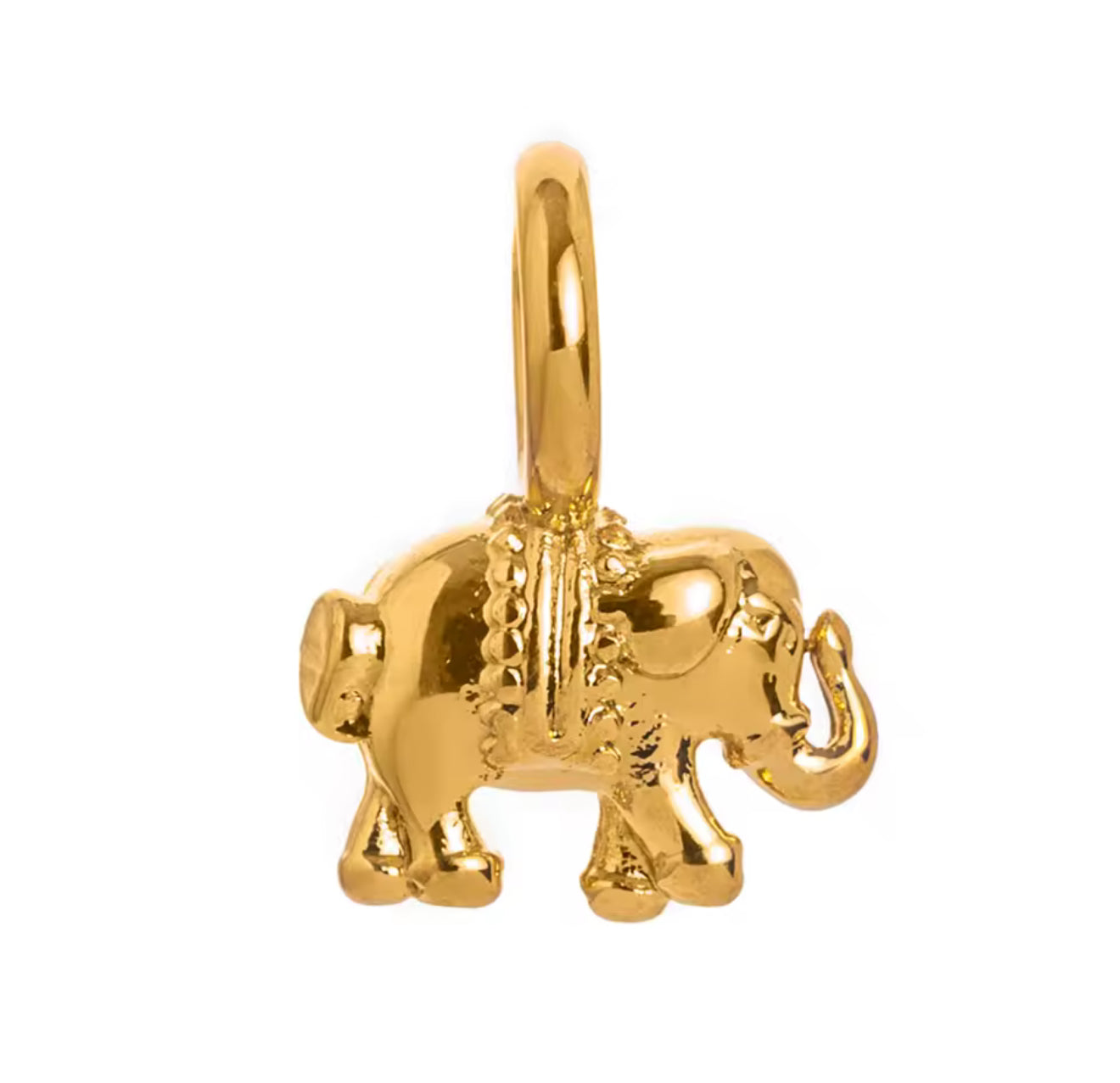 Charm, dije Elefante