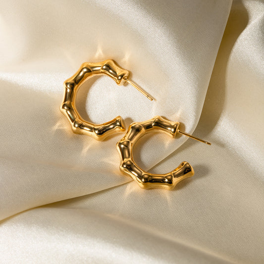 Aretes Araceli