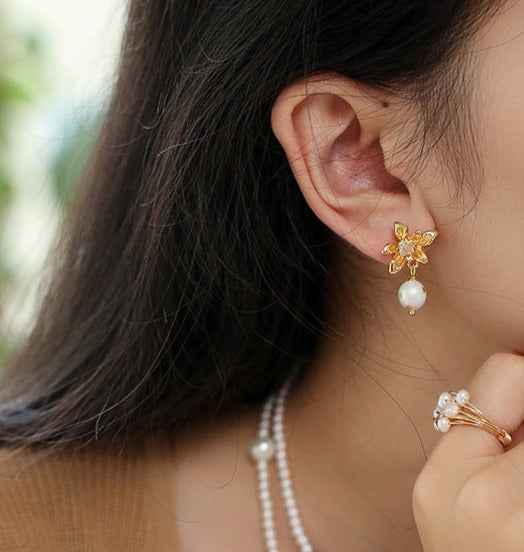 Aretes India